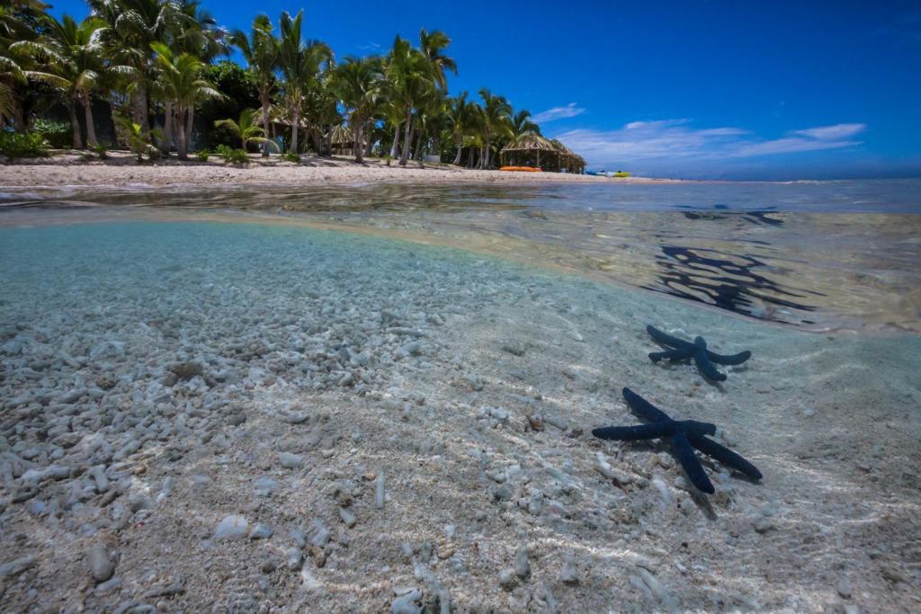 Hôtel Treasure Island Fiji Extérieur photo